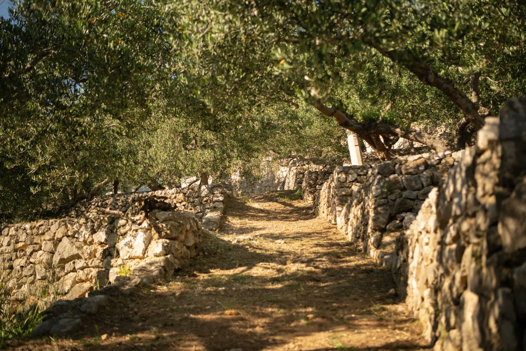 Villa Kuk Oaza - fotografija 20