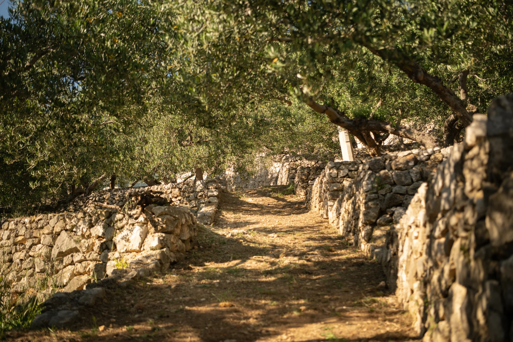 Villa Kuk Oaza - fotografija 20